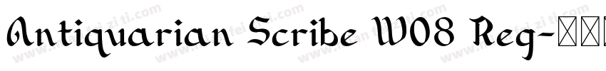 Antiquarian Scribe W08 Reg字体转换